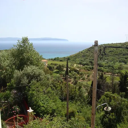 Maistrali *