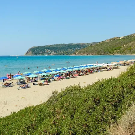 Maistrali Daire *